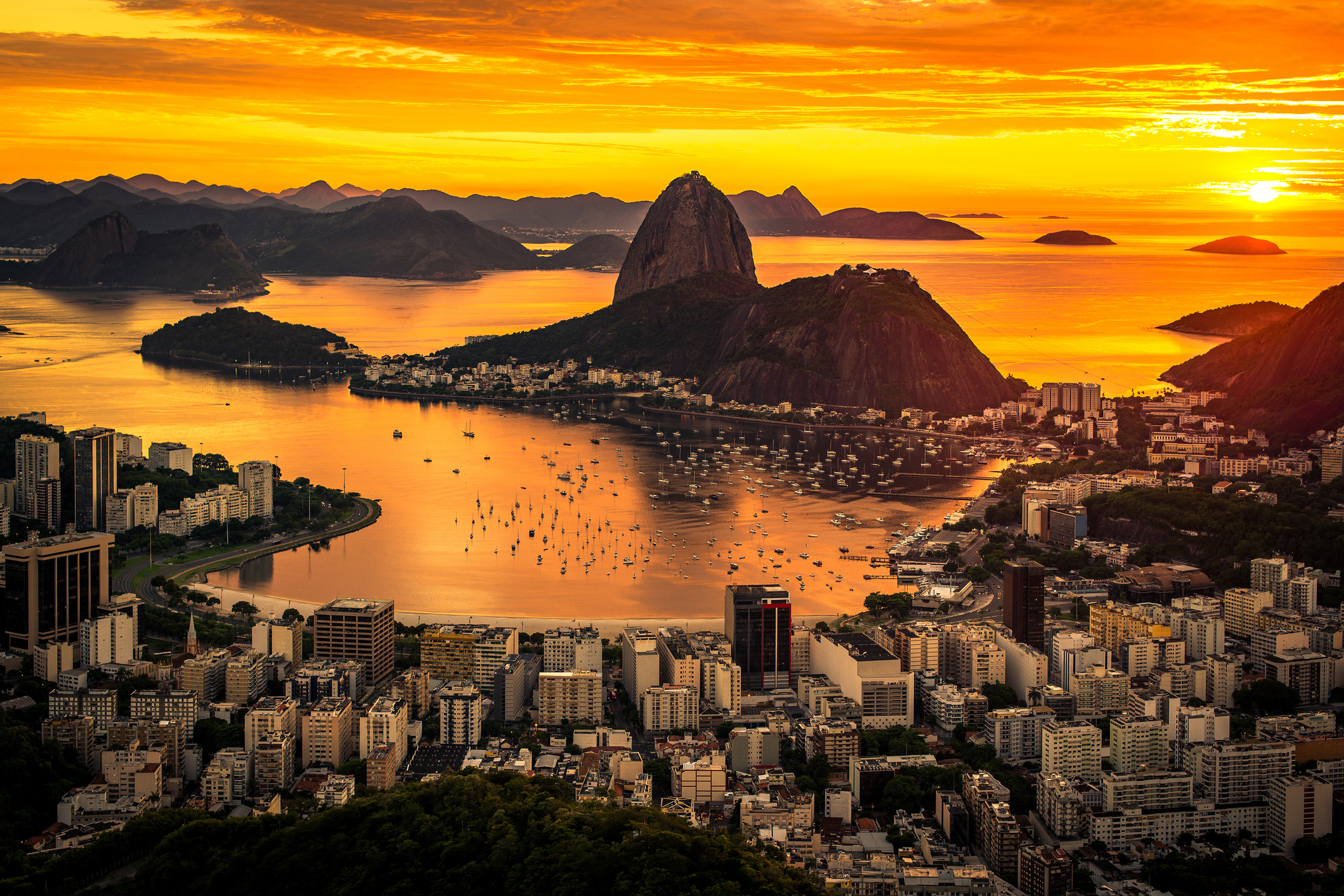 free tour favela rio City Tours